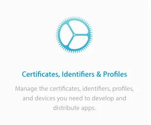 Certificates, Identifiers & Profiles App IOS